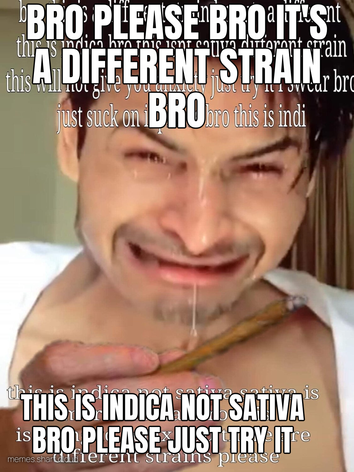 Bro Please Bro preview