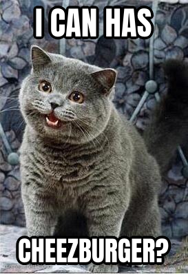 I can has cheezburger cat preview