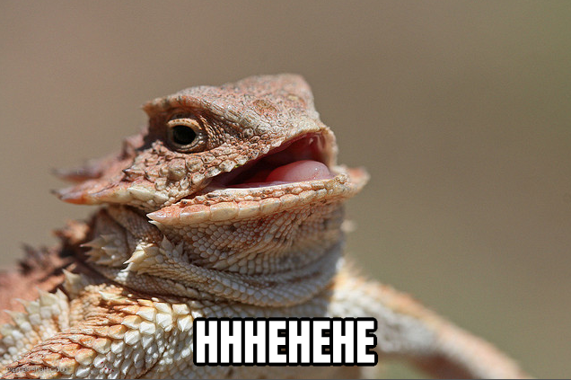 Laughing Lizard preview