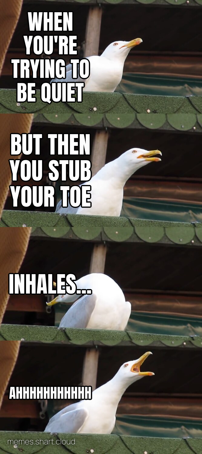 Screaming Seagull preview