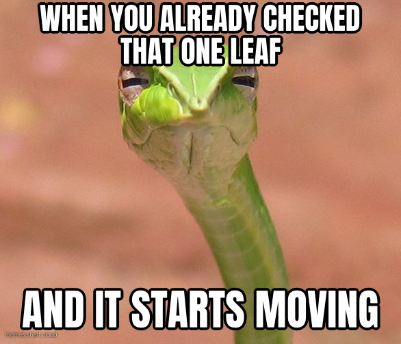 Skeptical Snake preview