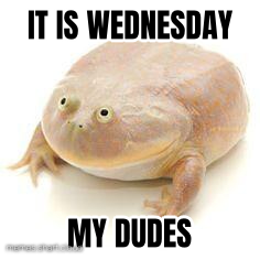 Wednesday Frog preview