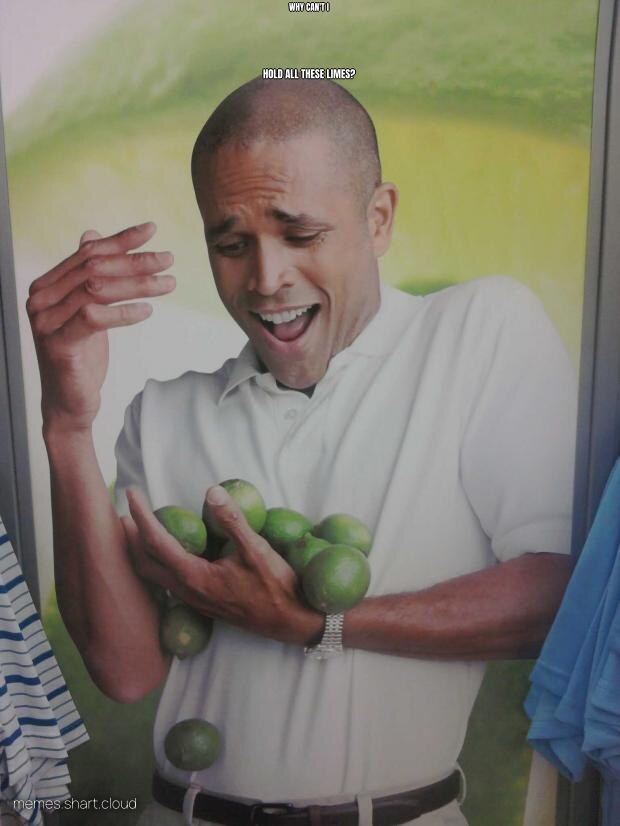 Why Can't I Hold All These Limes preview